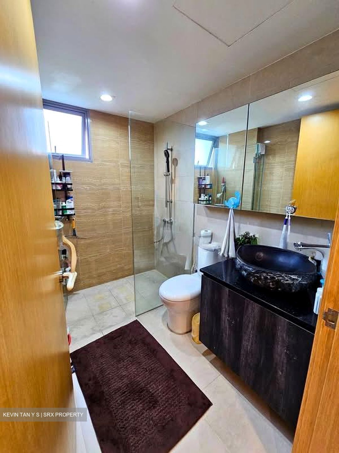 A Treasure Trove (D19), Condominium #587764721